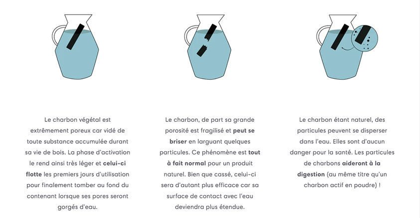 フランス産100%浄水フィルター用竹炭3個パック